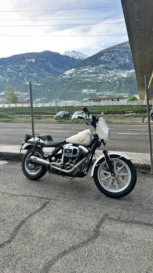 MPRDS 2 in 1 Exhaust System for FXR